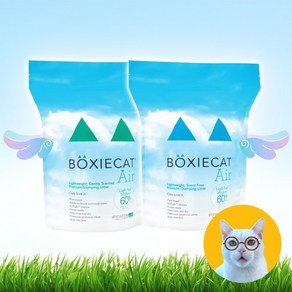 BOXIECAT 벅시캣 에어 블루/그린, 1개, 2.95kg