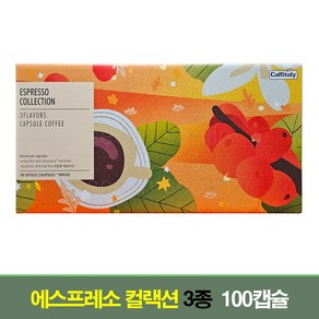 [코스트코] CAFFITALY카피탈리 네스프레소 호환 캡슐 100 CAPSULES, 5.5g, 1개, 100개입