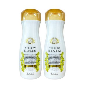 댕기머리 옐로우 블라썸 트리트먼트, 300ml, 2개