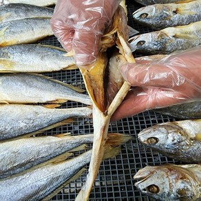 2분 OK 영광 법성포 찜 찐 부세 보리굴비 내장제거 손질 굴비 명절 제수용 부모님 선물 30cm 이상, 3개, 750g