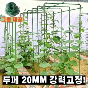 소프트가든 오이지지대 2m 20mm 식물 지지대 고추 텃밭 오이넝쿨 지지대 오벨리스크, 60x180x180cm