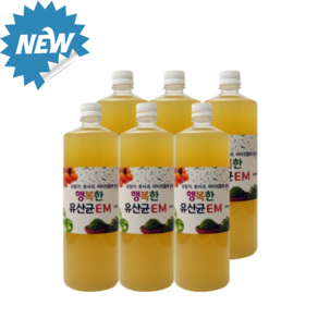 유정룡효소과학 6통 한박스, 6개, 1000ml