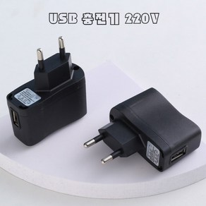 USB 충전기 휴대용라디오 충전아답타 220V 소형가전 무선이어폰 전자담배 전기모기채 5핀 C-type 케이블 연결, 1개