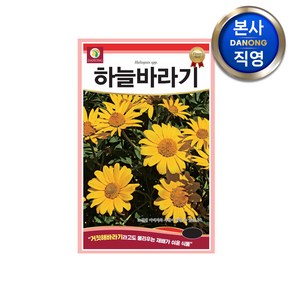 하늘바라기 씨앗 100립 . 거짓 해바라기 야생화 다년생 노란 꽃 화단 꽃씨 종자, 1개