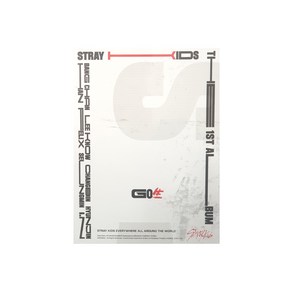 스트레이키즈 STRAY KIDS 앨범 정규1집 고생 GO LIVE 일반반 [A 타입 버전 레드] MUSIC CD