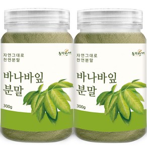 동의한재 바나바잎 분말 가루, 300g, 2개