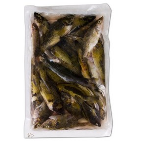 산지직송 강원도 자연산 민물고기, 1개, 450g