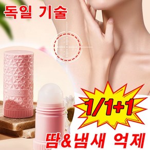 1/1+1겨드랑이냄새 제거 데오드란트 롤온 드라이 프레시 롤온타입 40ml