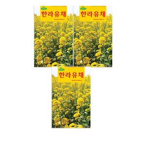 모두다 채소씨앗 한라유채씨앗(30g), 3개