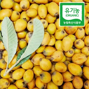 친환경유기농 완도비파열매 생과 5Kg(무선별)효소용 예약판매 5월10일부터 주문순서 발송, 1개