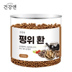 건강앤 평위환 250g 계량스푼 증정, 1개