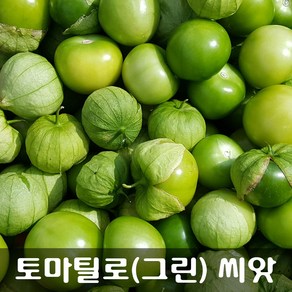 [해피플라워] 멕시칸 요리 재료 토마틸로 그린(Geen) 씨앗 300립 / 봄 여름 파종 웰빙푸드 종자, 1개