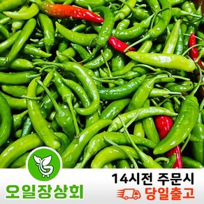< 오일장 상회 > 국내산 청양고추 매운고추 땡초 ( 상 ) 1박스 (10kg내외)상세페이지참고, 10kg내외