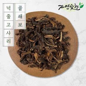 미얀마산 골쇄보 골세보 넉줄고사리 차 300g 효능