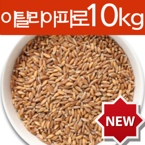 하늘정연 Farro 이탈리아 파로 10kg 곡물 파로쌀 고대곡물 엠머밀 효능 엠머파로