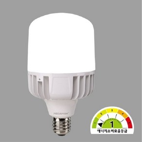 LED 전구 빔벌브 램프 1등급 60W 주광색 E39 KS 야외조명, 1개, 본상품선택