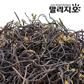 말리지오 고사리 보통 상급, 1개, 200g(보통)