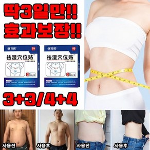 [정품보증] 2+2/3+3 다이어트 패치 습기 제거 패치 초본배독혈위거습편첩 복부 다이어트 패치 건강한 습기 해소 경혈 패치 한방 속효 선물 랜덤 증정, 6개, 6매입