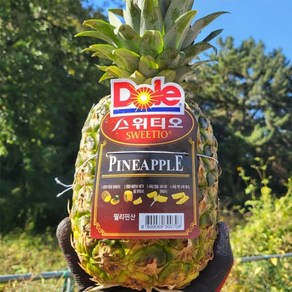 Dole 스위티오 파인애플 9수 (12kg), 1박스
