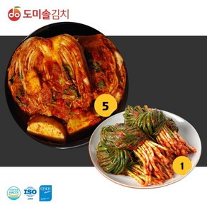 도미솔 포기김치5kg+파김치1kg, 1세트, 5kg