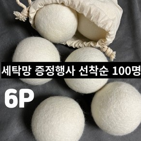 페브리트 건조기 필수템 양모볼 6개 1세트 면 파우치 증정