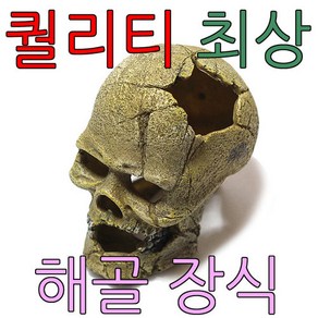 파충류 도마뱀 도핀 해골 u-715 은신처 거북이 장식, 1개