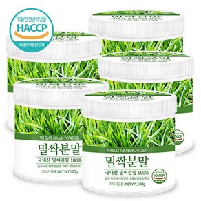 푸른들판 국산 밀싹 분말 가루 100% HACCP 인증 밀새싹 밀순 밀싹순 파우더