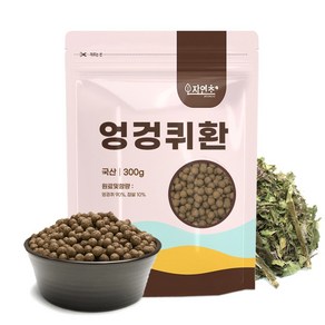 자연초 국산 엉겅퀴환 300g, 1개