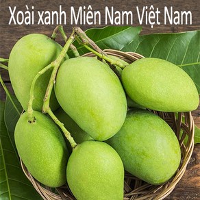 Thomy 베트남 항공직송 그린망고 2.5kg 5kg (Xoai keo tuong tu quy hat lep), 1개, Xoai tuong 2.5kg