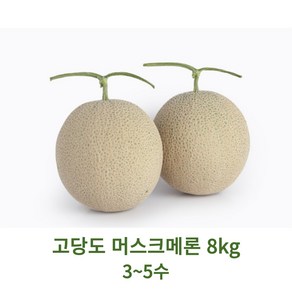 메론 달콤쫀득한 고당도 머스크 허니듀 멜론, 1박스, 고당도 머스크메론8kg(3~5수)