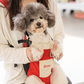 고냥냥 강아지 고양이 포대기 이동가방