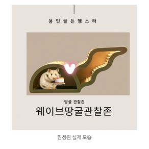 햄스터 웨이브 땅굴존 관찰존 최애공간활용템, 드워프전용, 1개