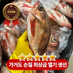 십이밥상 자연산 급냉 열기 불 볼락 빨간 생선, 1개, 1KG(6~7미)