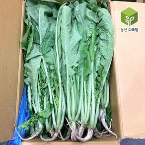 국내산 열무 4kg