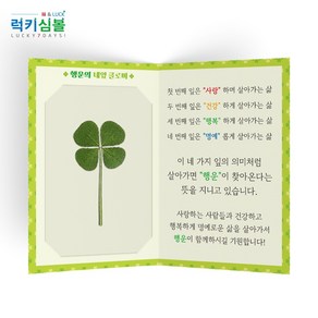 [럭키심볼] 행운의 네잎클로버생화 럭키심볼 투명 코팅폴더카드, 01.럭키심볼 투명 코팅폴더카드 1장