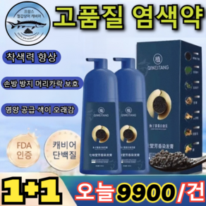 1+1[고급판] 골드 캐비어 단백질 염색약 10분 500ml 순수염색약