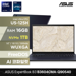 [최종96만/총워런티2년] ASUS ExpetBook B3 B3604CMA-Q90540 U5-125H 16GB 512GB FD 16인치 비즈니스 AI 코파일럿 노트북, Sta Black, 1TB, Fee DOS