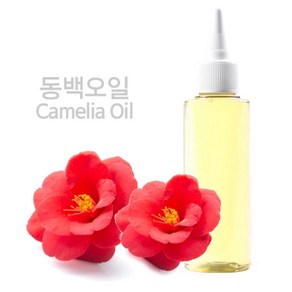 천연화장품 비누DIY재료-동백오일, 100ml, 1개