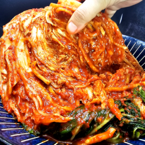 신나푸드 국산 맛있는 전라도 배추김치, 5kg, 1개