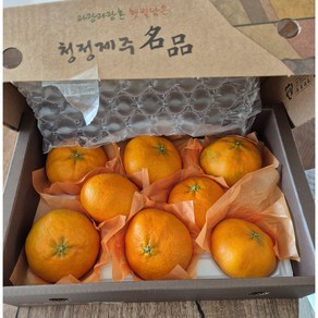 자연맛집스토어 제주도 귤 과일선물세트 가정용 레드향, 1박스, 레드향 가정용 3kg(7~16과)