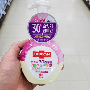 캔디사은품 + 랩신 컬러체인징 포밍 핸드워시 베리향, 250ml, 1개