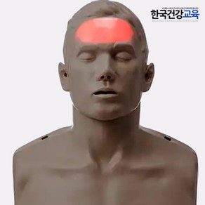 브레이든 혈행표시 심폐소생술마네킹 IM13K-R AA건전지, 1개