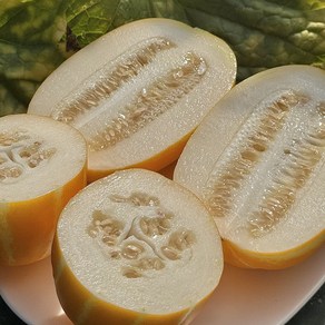 [수라미담] 성주 꿀 참외 중과 당도선별 산지직송, 1박스, 2kg