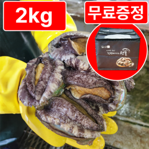 [활전복 산지직송] 완도 직거래 전복선물세트 왕특대, 1개, 대(28-30미) 2kg