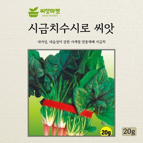 수시로 시금치 씨앗 20g, 1개