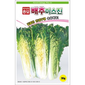 배추미스진 30g 유기농야채 아시아종묘 텃밭 주말농장 베란다야채키우기, 1개