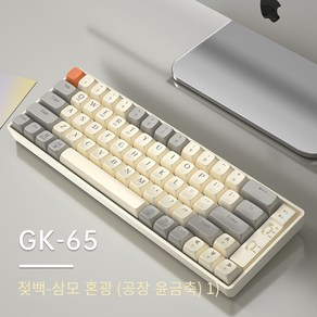 LANGTU GK65 트라이 모드 혼합 색상 키보드 황금 / 은축 기계식 키보드 무선 2.4g 블루투스 키보드 풀키 핫스왑 키보드 인체 공학적 키보드 19 가지 RGB 조명 효과, 유백색, 황금 샤프트, GK 65 3모드 컬러 믹싱