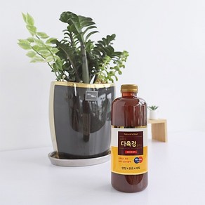 [무료배송]국산 천연 식물영양 벌레제거 다육경 플러스 500ml+300ml, 2개, 300ml