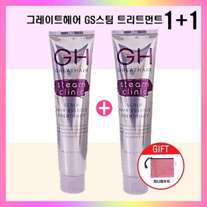 최신상 시즌2 그레이트헤어 노워시 트리트먼트 이찬석패키지 헤어에센스 110ml 2개+미니파우치, 2개