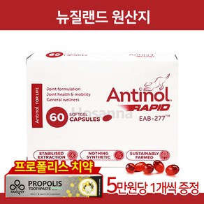 안티놀 래피드 강아지 초록입홍합 관절영양제 뉴질랜드 EAB-277 +사은품 증정+